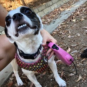 Meet your Posher, Christine